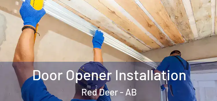Door Opener Installation Red Deer - AB