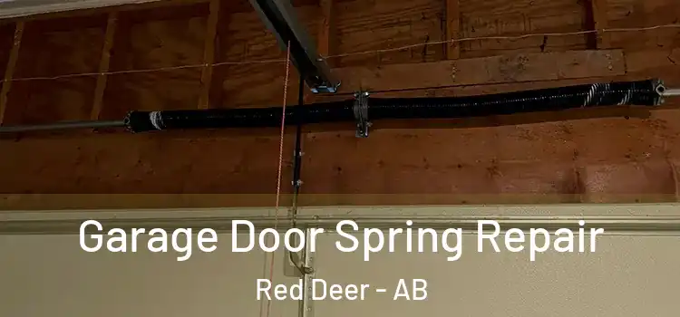 Garage Door Spring Repair Red Deer - AB