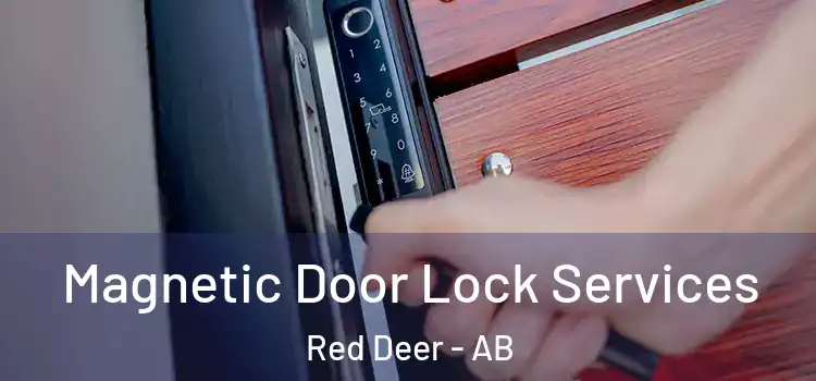 Magnetic Door Lock Services Red Deer - AB